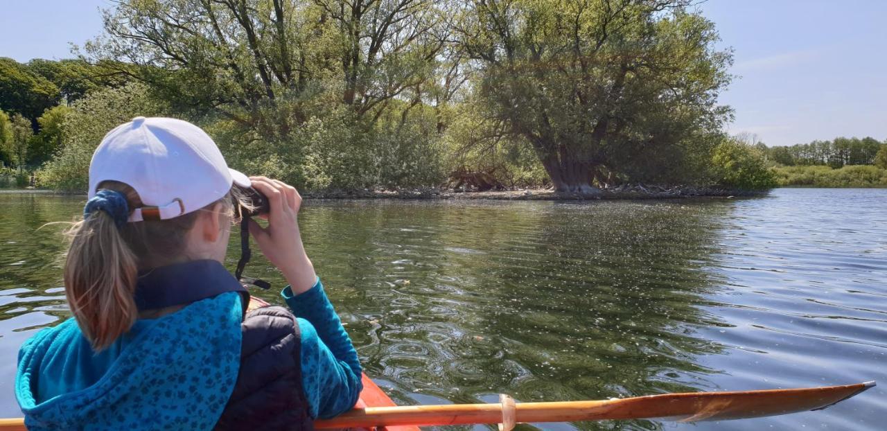 Ferienwohnungen Am Schwanensee Plön Eksteriør bilde
